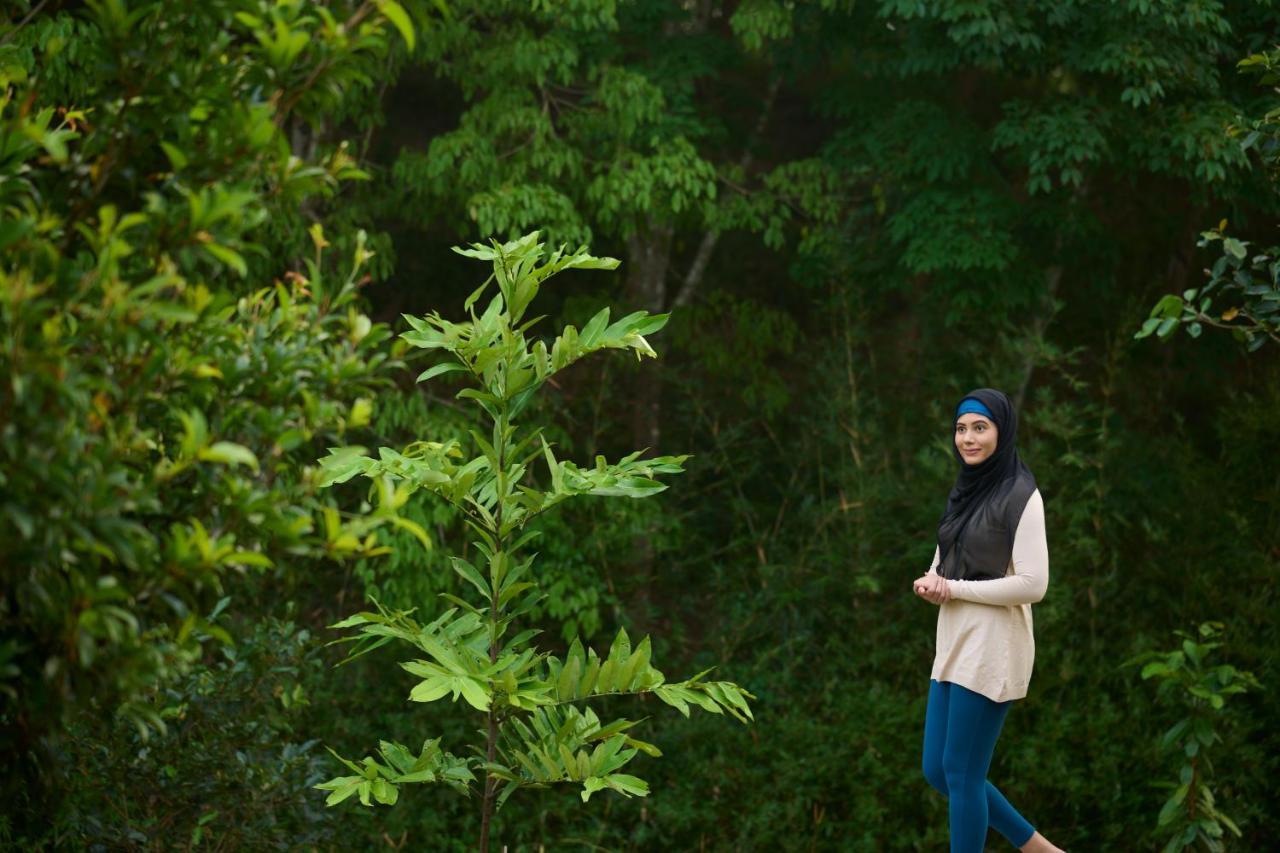 Tigris Valley Holistic Wellness Resort Vallikavungal エクステリア 写真
